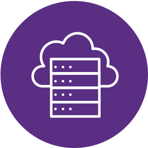 Hosted Cloud Solutions Icon