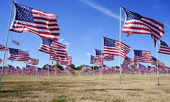 American flags in field in Plano Texas